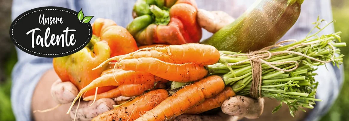 Unsere Talente. Person hält frisches Gemüse in den Händen